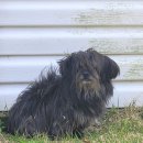 바다와해돋이민박 이미지