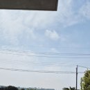 일칠일삼
