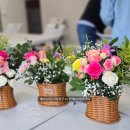 자연과식물원예연구소 이미지