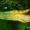 나리슈퍼 이미지