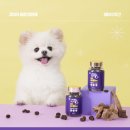 댕이의하루 | 댕이수랏간:: 강아지 종합 영양제 추천 , 강아지 종합케어, 멀티올케어