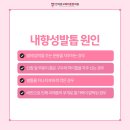 고려튼튼정형외과의원 이미지