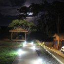 서산글램핑 이미지