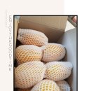 남대문안경마을 이미지