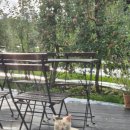 맨션애플트리 이미지