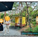 구이산바베큐