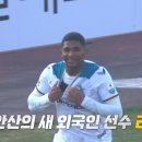 빽다방안산 Daum카페