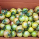 대박1농장 이미지