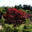 당지농장 이미지