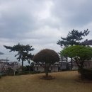 하늘보라 네이버블로그