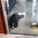 전곡항 클럽하우스 1층 | [카페_안산] 전곡항 요트뷰카페 추천｜요트 타기 전 들른 신상 핫플, &#34;카페온더요트&#34;