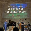 라움아트센터 수아레 콘서트 사운드 오브 뮤직 재즈 공연