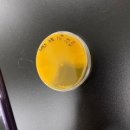 누룩푸드 이미지