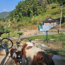 천대국치길 이미지