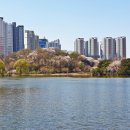 일산호수공원 이미지