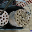 참새와 방앗간 이미지