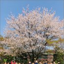 롯데캐슬유치원 이미지