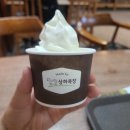 홀스타인 빌리지 | 고창 상하농원 :: 동물농장 먹이주기 공방 체험 후기