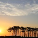 초이스패스 이미지