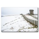 대관령 양떼목장에서 이미지