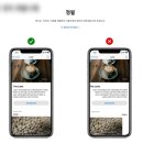 크리에이트팩토리 | [유데미x스나이퍼팩토리] UI/UX 인턴형 프로그램 5기 12일차 - 피그마 실습 / 컴포넌트 제작