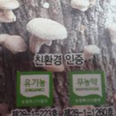 참나무원목표고버섯입니다 이미지