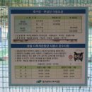 옻골다목적구장 이미지