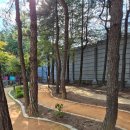 용수중학교 | 🌿 부산 화명동 황토길 산책코스｜맨발 산책+발 씻는 곳까지 완벽가이드