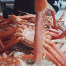 포항회타운 이미지