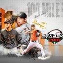 위시앤쉴드 이미지