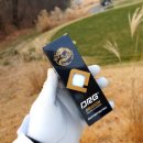 디알지(DRG) 이미지