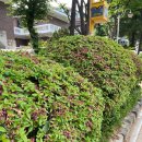 한림어린이공원 이미지