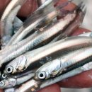 자유로 122 이미지