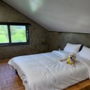 알로하오에 이미지