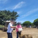 렌트투어 | 제주도 미니버스 렌트 기사 포함 제주 투어 후기