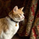 여행의 언어 영어로 소통하기 이미지