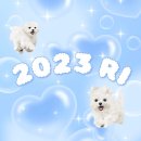 2023 RI 문제복원 ﻿⇒ 과목별로 정리했습니다. 이미지