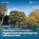 가을 단풍과 함께하는 마곡사 국가유산 여행 (Magoksa Temple Cultural Heritage Tour with Autumn Leave)