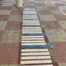 양대초등학교 이미지