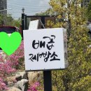 배꼽제빵소 이미지