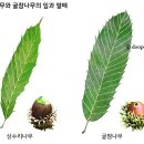 상주 남장사 감로왕도 이미지