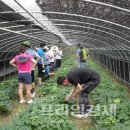 인기농장 이미지