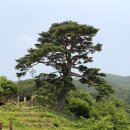 지리산건강마을