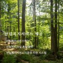 한국산림개발