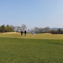 여주-0406 네이버블로그