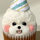 펫스튜리(petschurri) 이미지