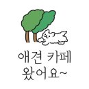 카페 써니힐 이미지