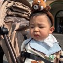 애니몰하우스 | 18개월 아기랑 에버랜드 나들이/워킹 사파리 후기/로스트밸리/판다월드/아기랑 갈만한곳/에버랜드/튤립축제