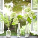 행복보감한의원 이미지