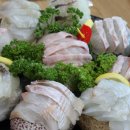 대성수족관 이미지